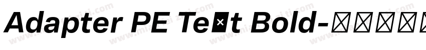 Adapter PE Text Bold字体转换